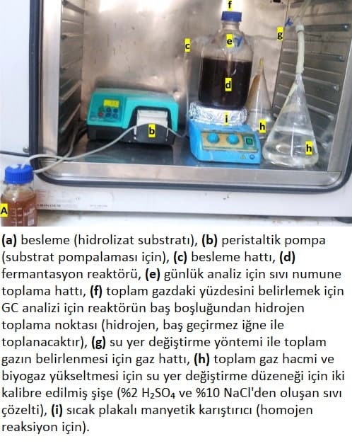 BIOHYDRONOVA Proje Fotoğrafı 4
