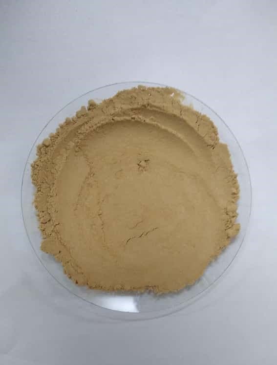 BIOHYDRONOVA Proje Fotoğrafı 5